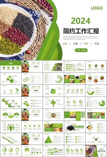 农产品生态农业农村电商ppt