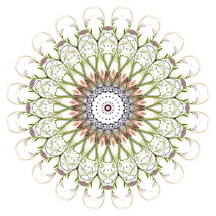 精美花卉曼陀罗图案设计