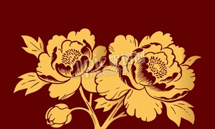 金色牡丹花卉图案