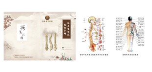 中医经络人体示意图