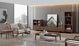 现代简约风客厅家居场景