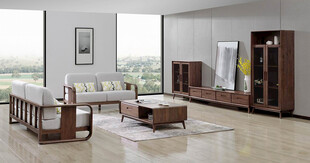 现代简约风格客厅家具展示