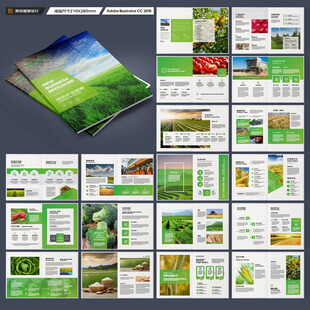 农产品宣传册