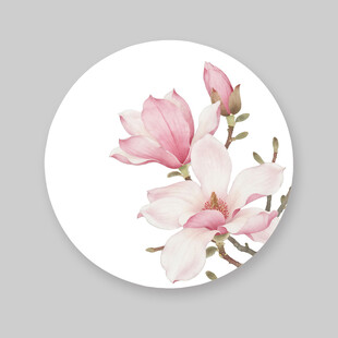 手绘粉色玉兰花圆形图案