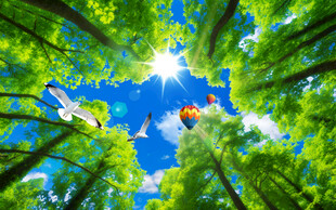 仰视蓝天白云树林