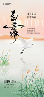 节日节气