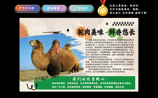 驼肉的好处和营养价值