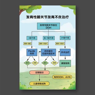 发育性髋关节发育不良治疗