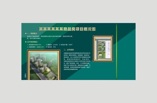 房地产项目概况图