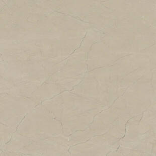 新款 奢华轻奢纹理 高清大图 