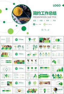 五谷杂粮健康饮食PPT