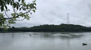 白鹤讯白塘村清晨雨天北江河边景