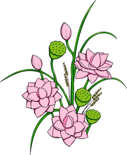 粉色荷花插画 矢量图