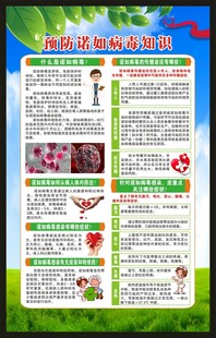 健康教育知识海报
