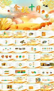 秋天金秋农业产品农场水稻小麦