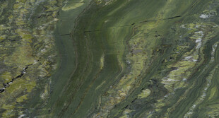 大气 奢华清晰石材 高清大图 