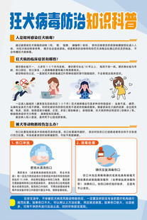 狂犬病毒防治知识科普