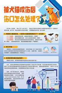 被犬猫咬伤后伤口怎么处理