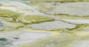 奢雅 奢华最新石纹 高清大图 