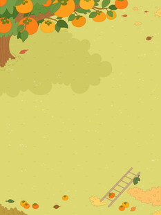 秋天柿子树结满柿子爬梯子摘柿子