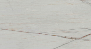 新传 奢华高端石材 高雅大图 