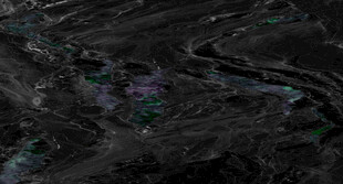 客厅 奢华高端石材 高雅大图 