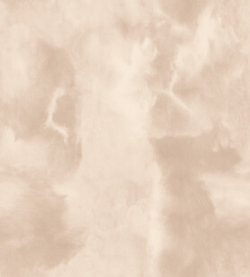 浅米色抽象纹理背景图