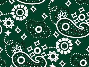 深绿底白色佩斯利花纹图案