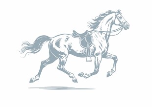 奔跑的骏马