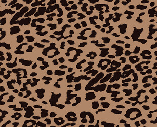 豹纹图案布料纹理