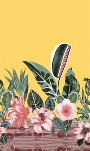 热带花卉植物景观