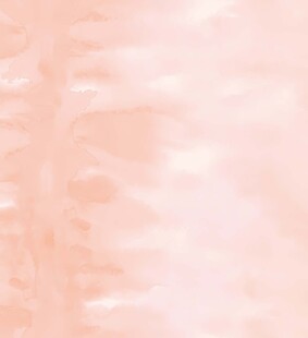 淡粉色渐变纹理背景