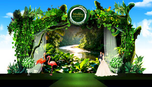 热带雨林婚礼背景