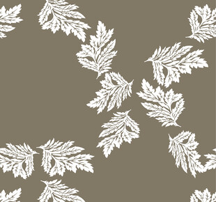 白色树叶图案背景纹理