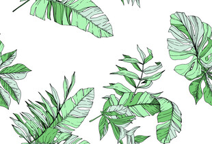 手绘清新热带绿植图案