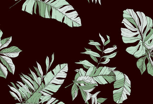 深底绿植图案清新自然风