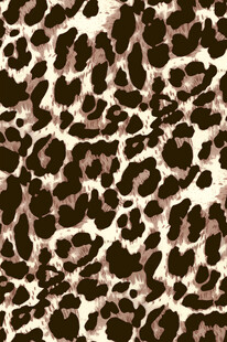 豹纹图案纹理背景
