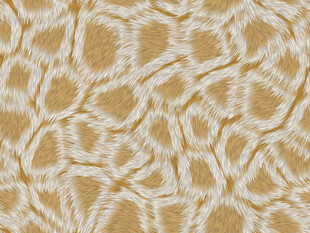 米黄色豹纹毛发皮毛