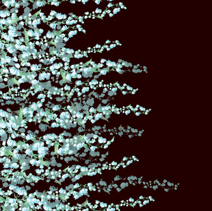 白色枝叶图案背景纹理