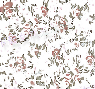 花卉图案背景纹理