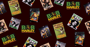 多样书籍封面展示