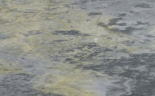 新传 清晰爆款石材 高清新图 