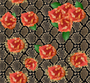 蛇纹底玫瑰花图案设计