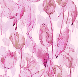粉色水彩风郁金香花卉图案