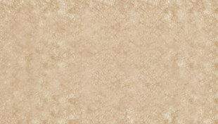 杜邦纸纹理贴图