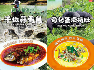 干椒蒜香鱼 荷包蛋煨猪肚