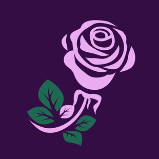 紫色玫瑰插画