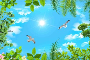 蓝天飞鸟间的热带风光