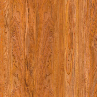 人气 奢华高档纹理 高清木纹图