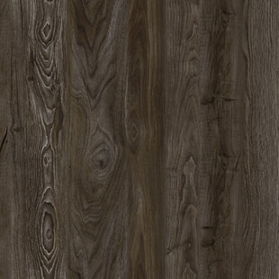 原木 新传高雅纹理 高清木纹图